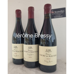 Domaine Gourt de Mautens Jérôme Bressy 2019 Rouge IGP Vaucluse Vins Biologiques