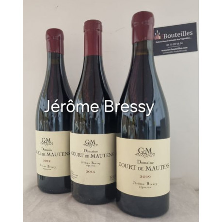 Domaine Gourt de Mautens Jérôme Bressy 2019 Rouge IGP Vaucluse Vins Biologiques