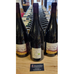 Domaine de Béatrice et Pascal Lambert Chinon rouge les puys 2019 Magnum