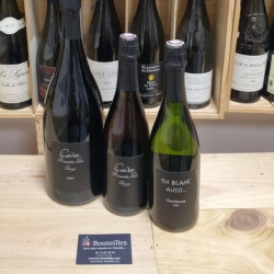 Domaine Alain et Elie Renardat-Fache - Cerdon 2022 Domaine Renardat-Fache Mérignat